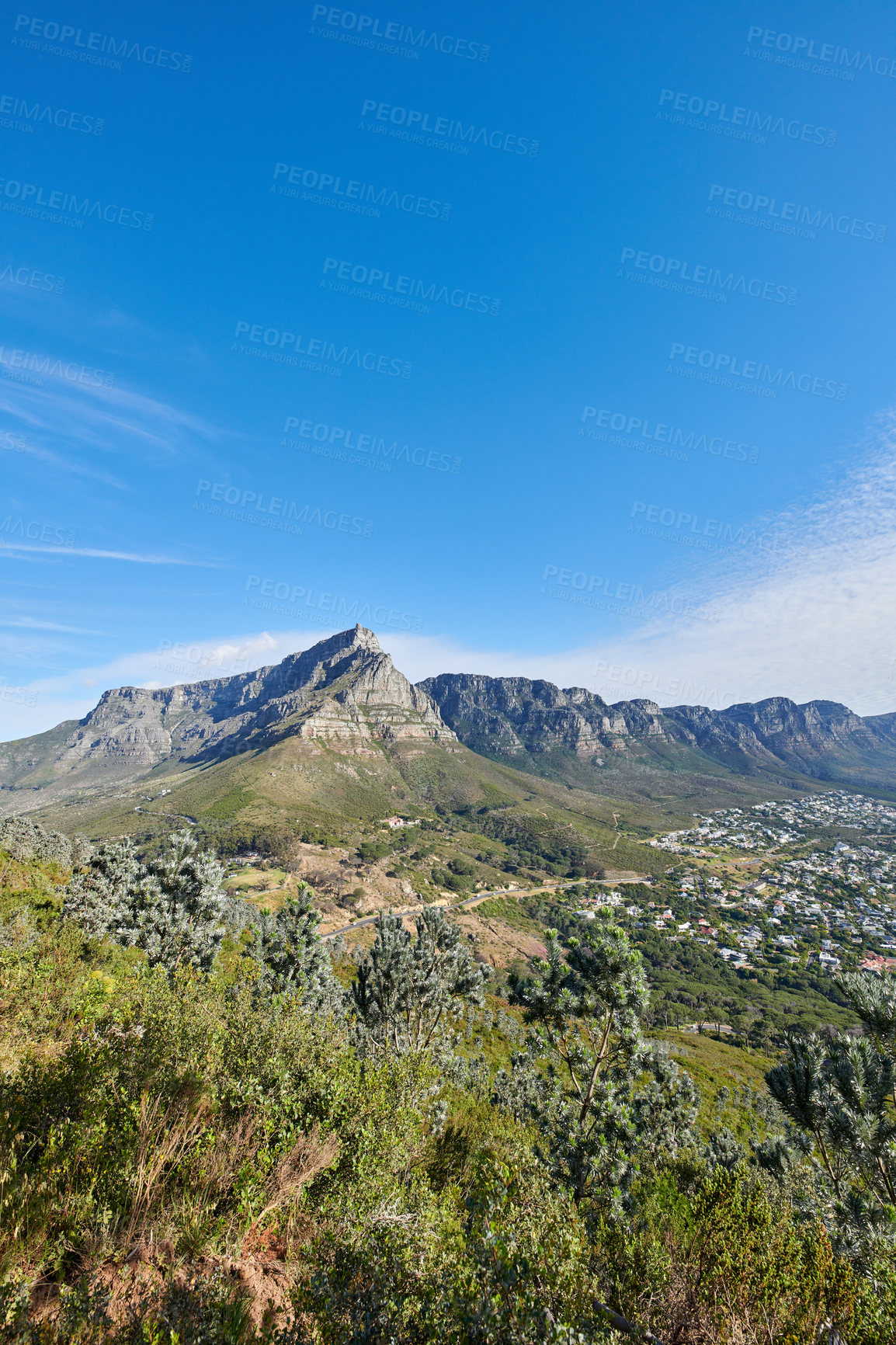 Buy stock photo Copy space with Table Mountain in Cape Town against a blue sky background. Beautiful scenic view of plants and trees growing around a majestic rocky valley and scenic city in nature outdoors