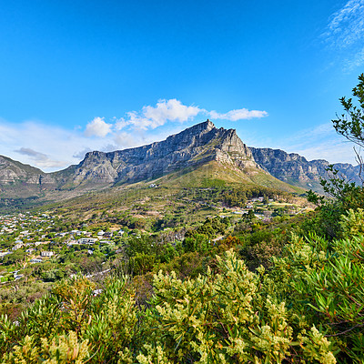 Buy stock photo Beautiful view of mountains and houses surrounded by lush green plants against a blue with copy space. Peaceful and scenic Landscape of a peak or hills of Table Mountain and nature on sunny afternoon