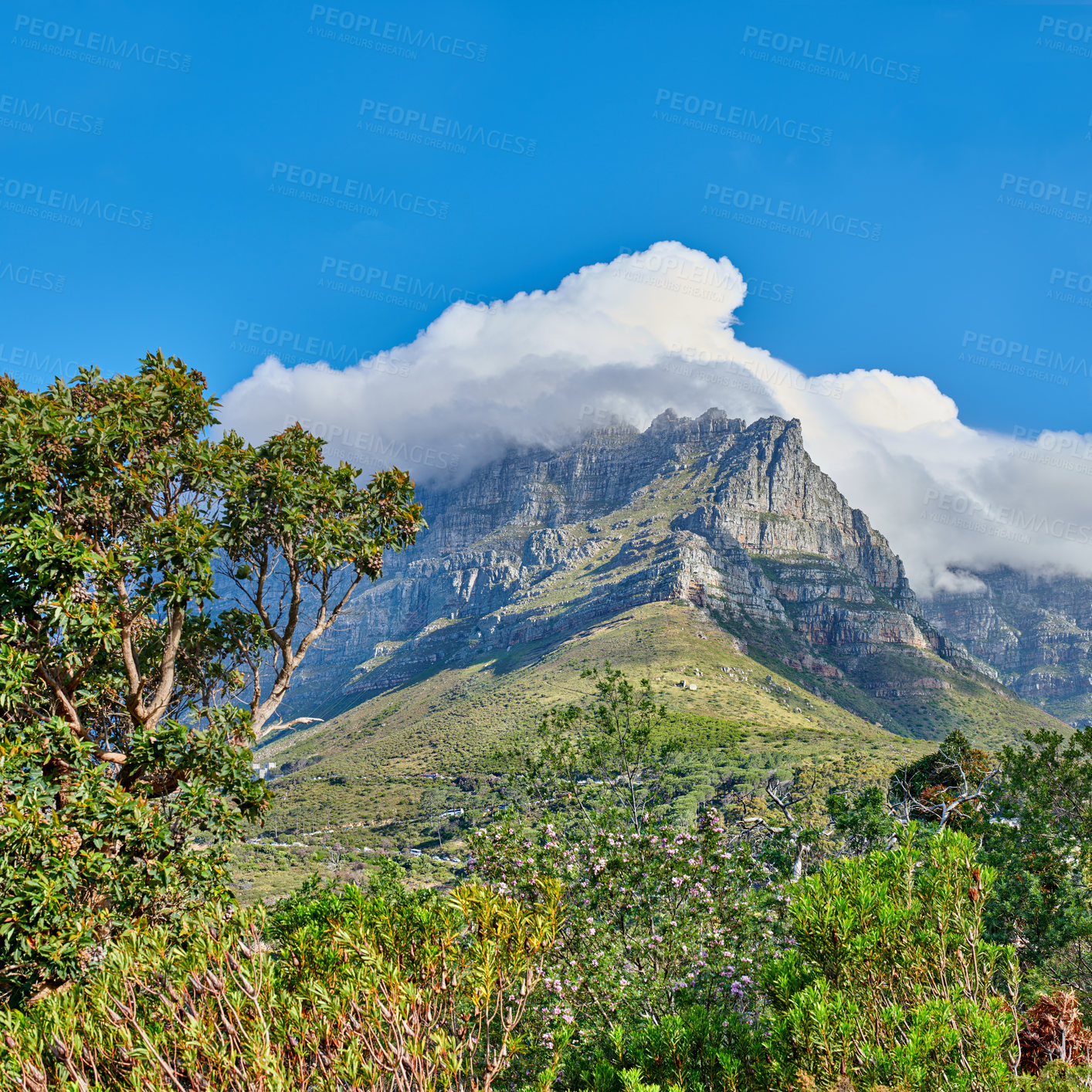 Buy stock photo Peaceful nature in harmony with soothing views of plants and landscape. Thick clouds covering Table Mountain in Cape Town on a sunny day. Cloud shapes and shadows passing over rocky terrain