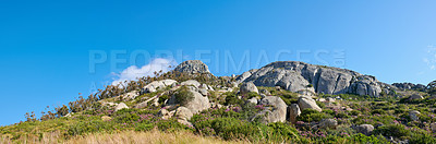 Buy stock photo Rocky landscape on the top of Table Mountain in sunny Cape Town, South Africa. Lush green plants and bushes growing against blue sky background. Relaxing morning in nature, soothing views of peaks