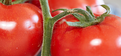 Buy stock photo Closeup of ripe red tomatoes with green stem for fresh natural and organic vegetables with copy space background. Wide wallpaper for healthy produce or sustainable fruit farming