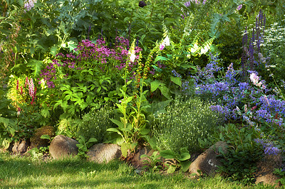 Buy stock photo A series of beautiful garden photos