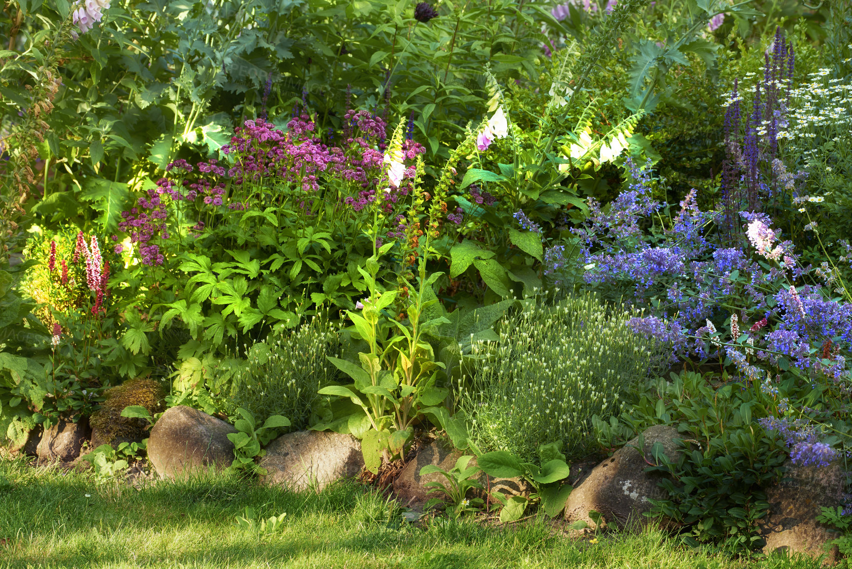 Buy stock photo A series of beautiful garden photos