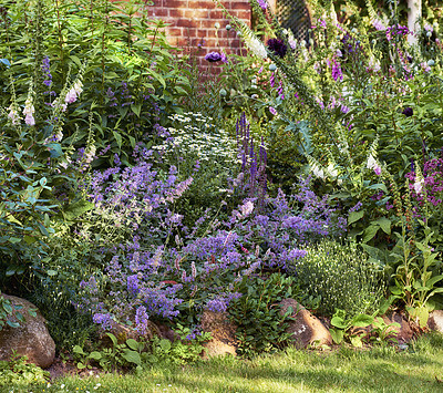 Buy stock photo A series of beautiful garden photos