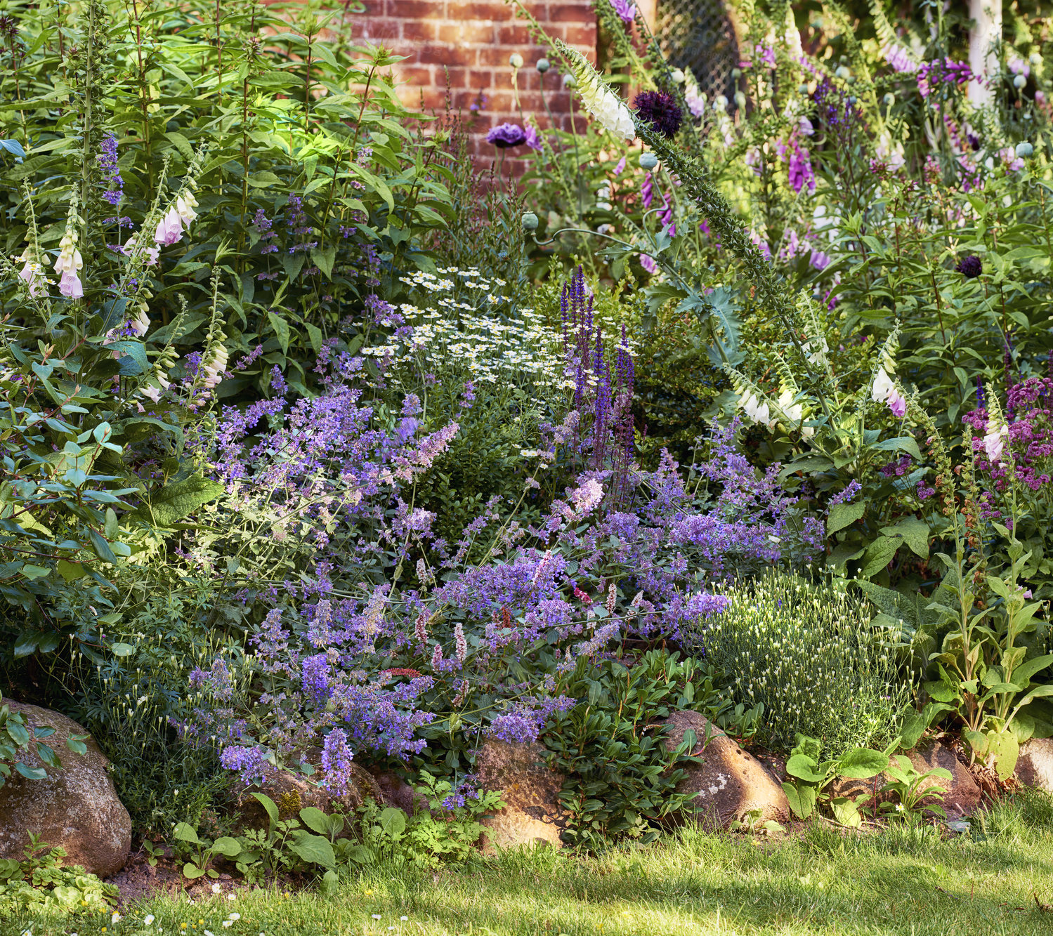 Buy stock photo A series of beautiful garden photos