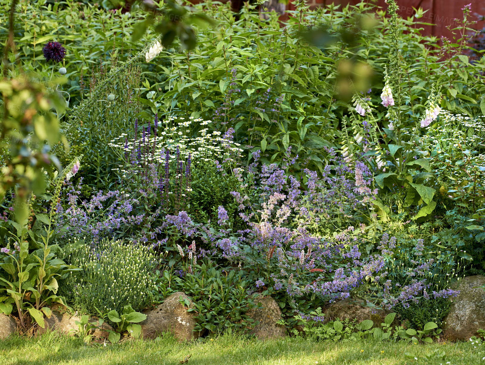 Buy stock photo A series of beautiful garden photos