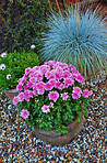 Jar in the garden