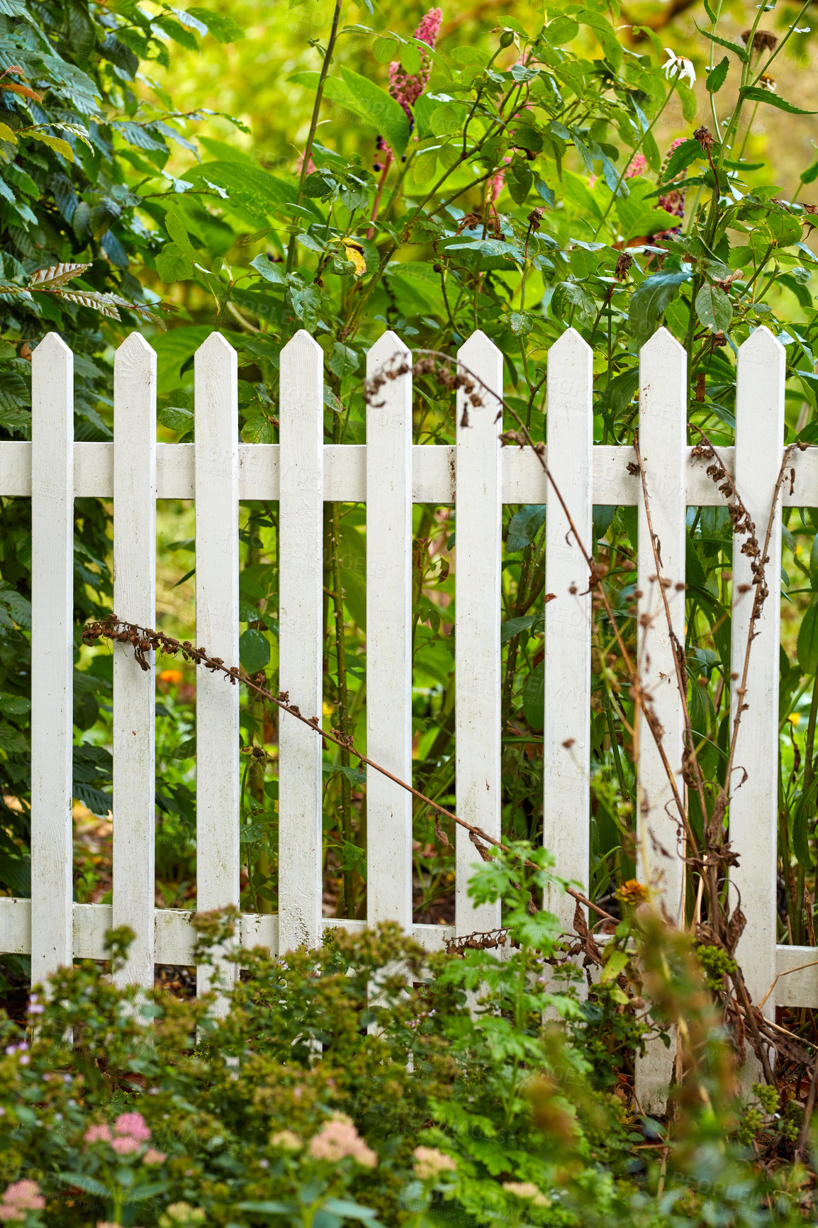 Buy stock photo A series of beautiful garden photos