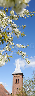 Buy stock photo A series of beautiful garden photos