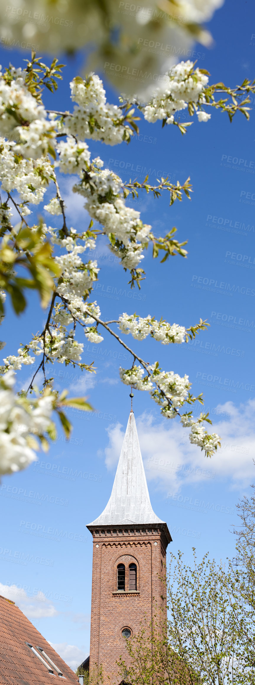 Buy stock photo A series of beautiful garden photos