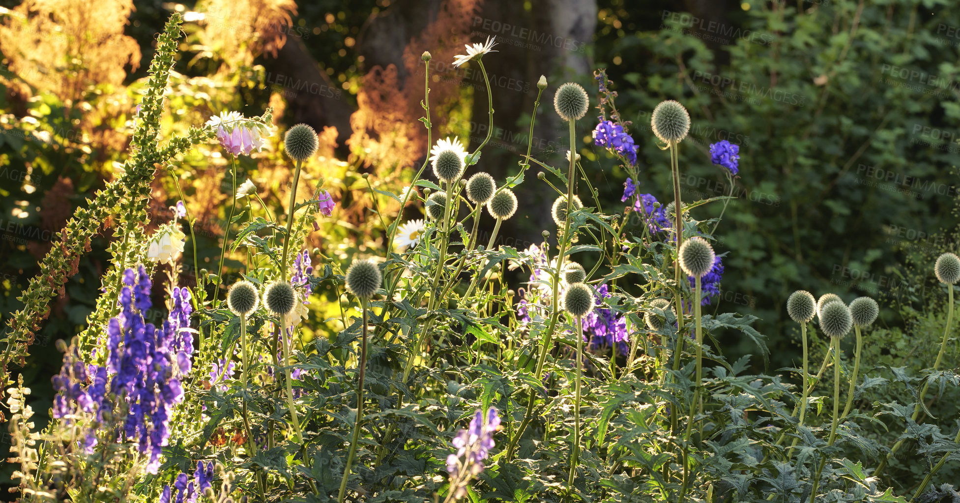 Buy stock photo A series of beautiful garden photos