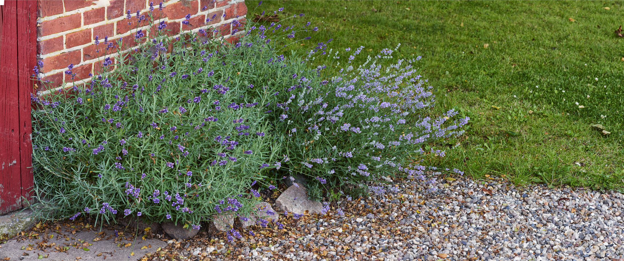 Buy stock photo A series of beautiful garden photos