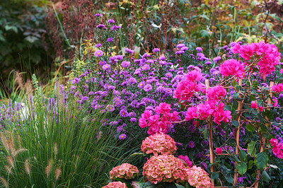 Buy stock photo A series of beautiful garden photos