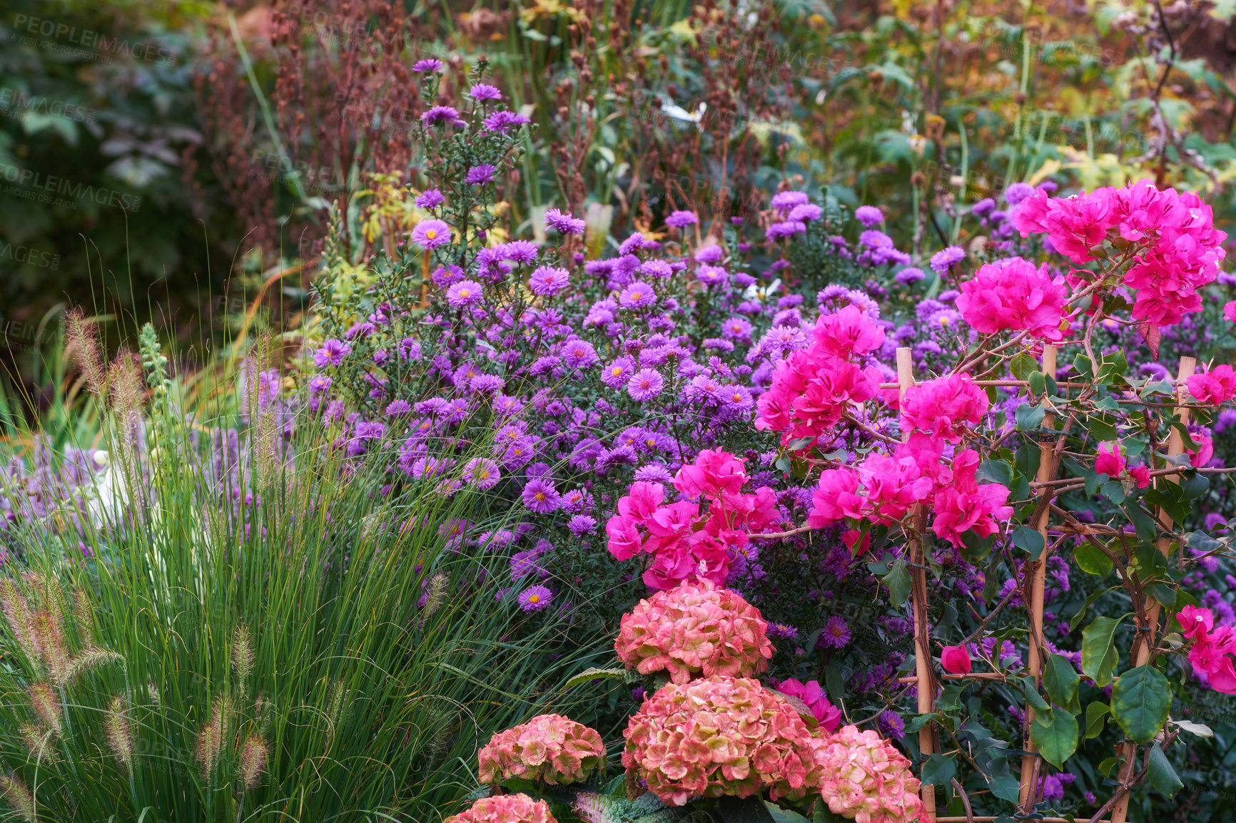 Buy stock photo A series of beautiful garden photos