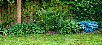 Buy stock photo A series of beautiful garden photos