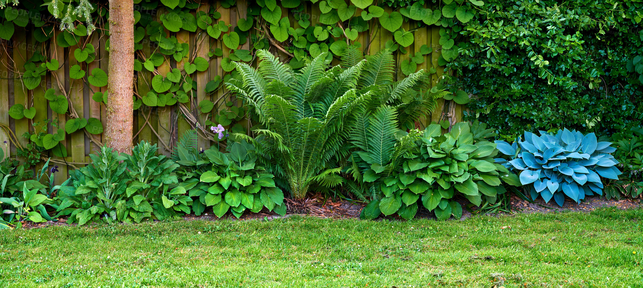 Buy stock photo A series of beautiful garden photos