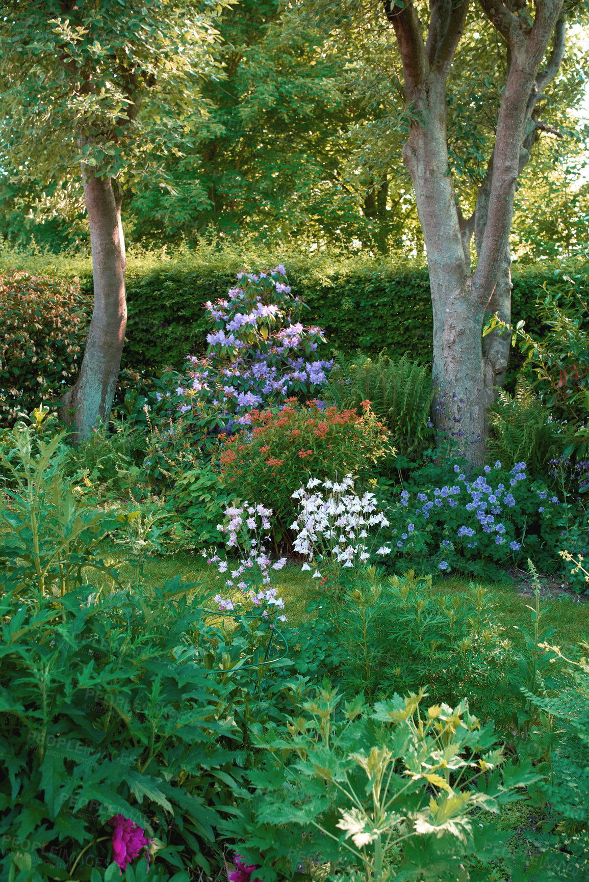 Buy stock photo A series of beautiful garden photos