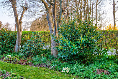 Buy stock photo A garden of all seasons