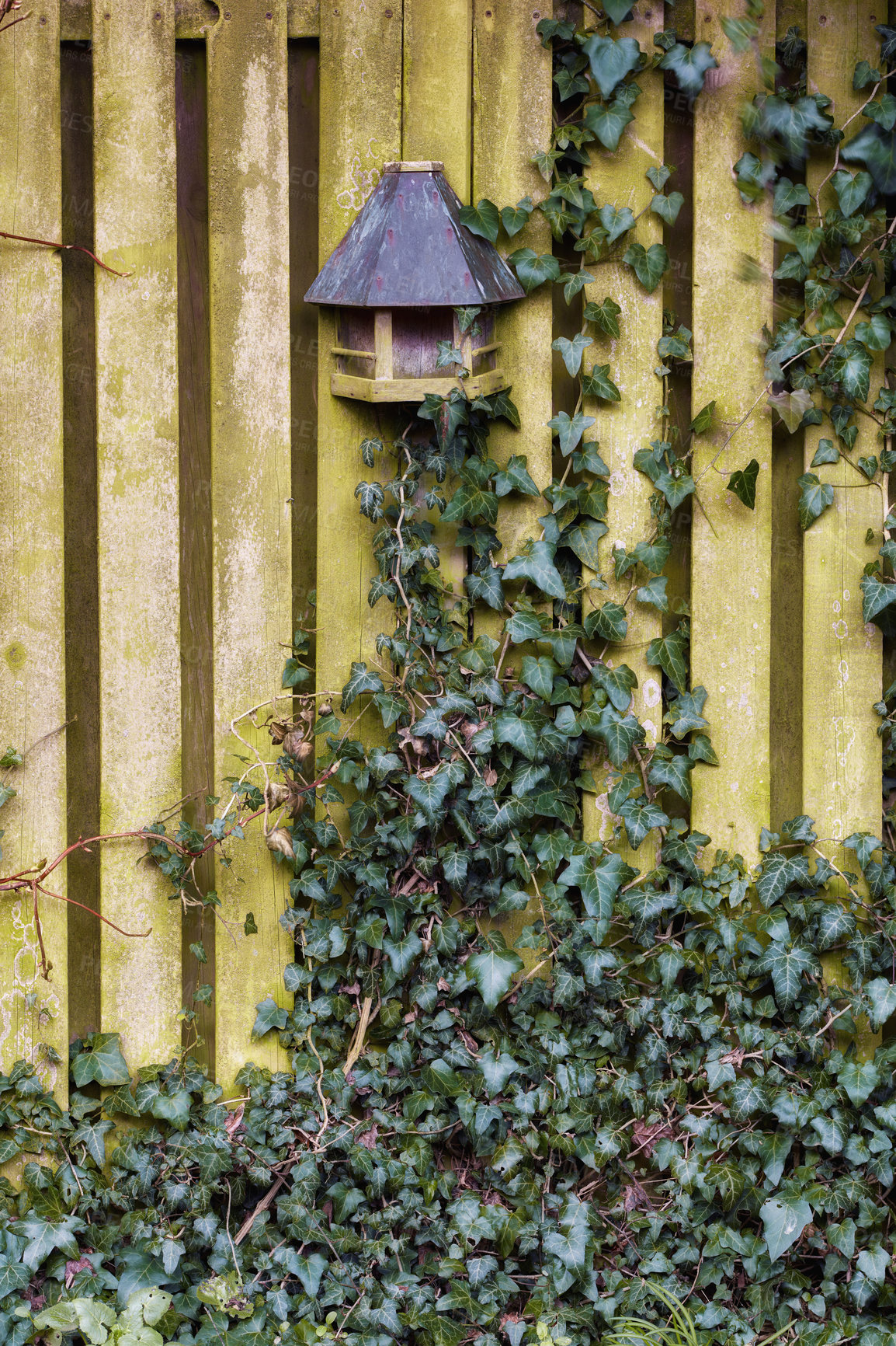 Buy stock photo A series of beautiful garden photos