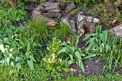 Buy stock photo A series of beautiful garden photos