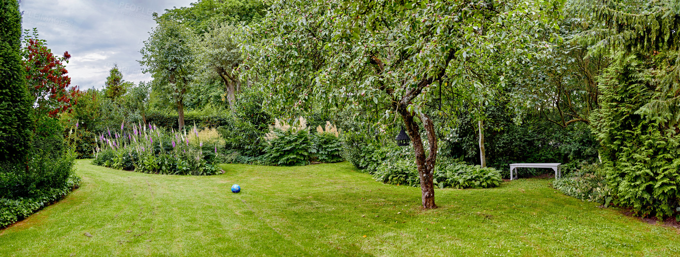 Buy stock photo A series of beautiful garden photos