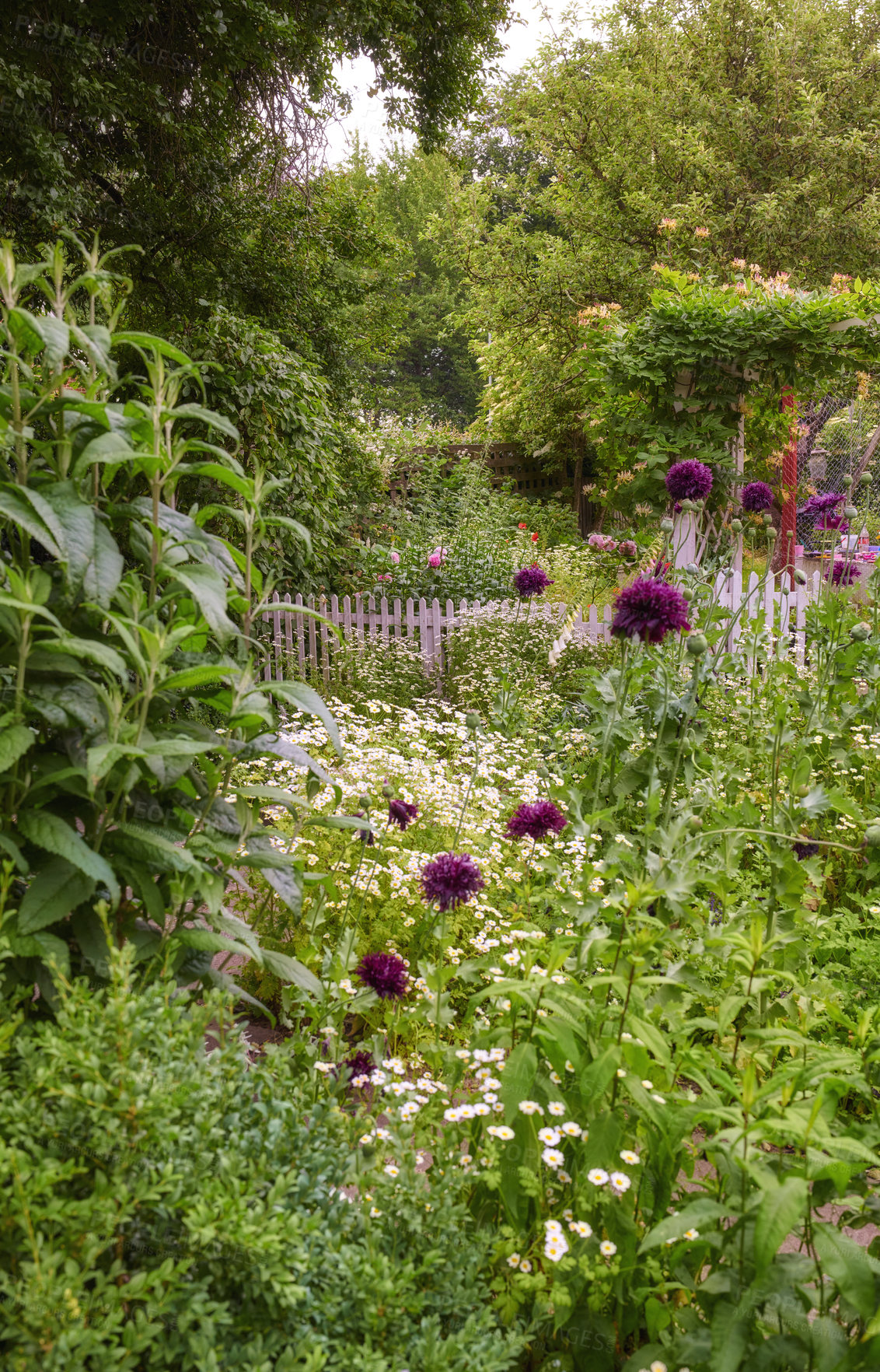 Buy stock photo A series of beautiful garden photos