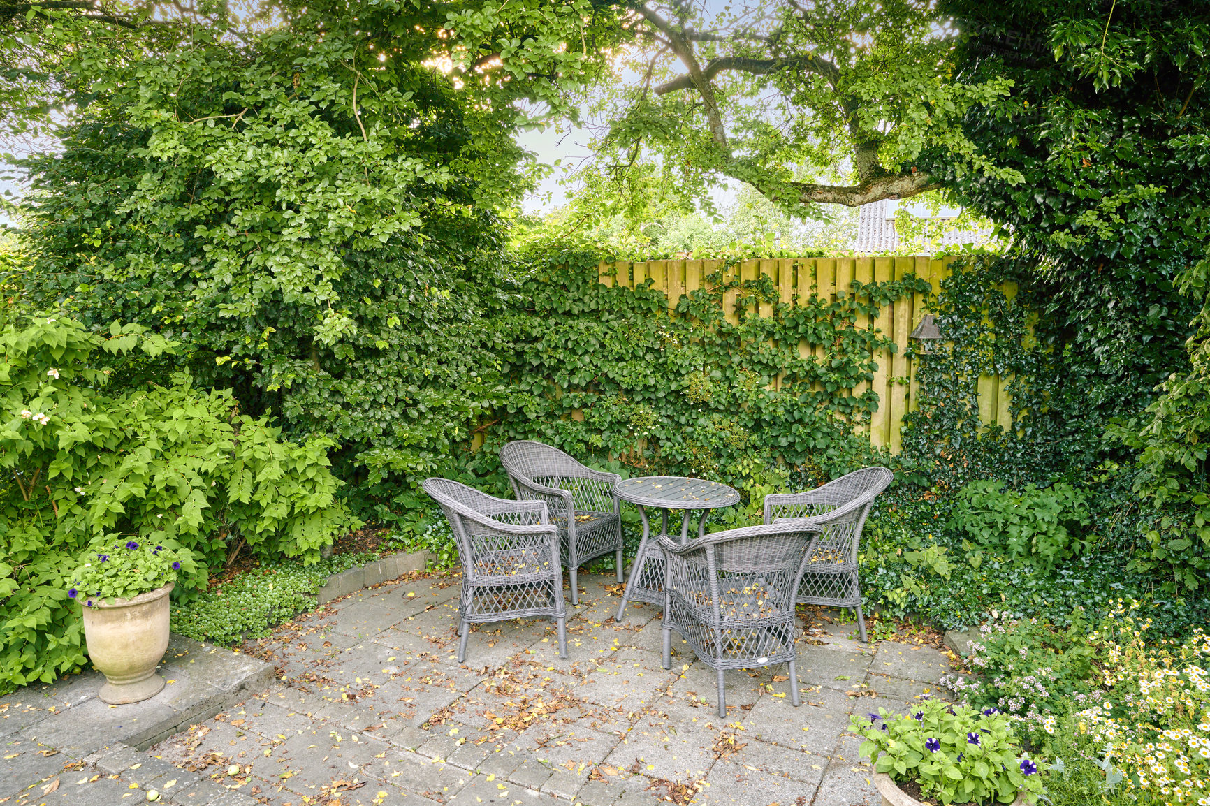 Buy stock photo A series of beautiful garden photos