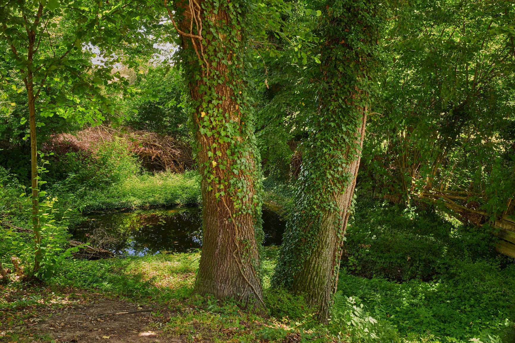 Buy stock photo A series of photos of countryside, farmland and forest close to Lyon, France