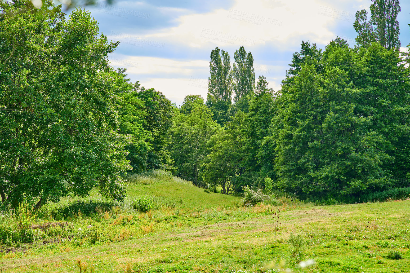 Buy stock photo A series of photos of countryside, farmland and forest close to Lyon, France