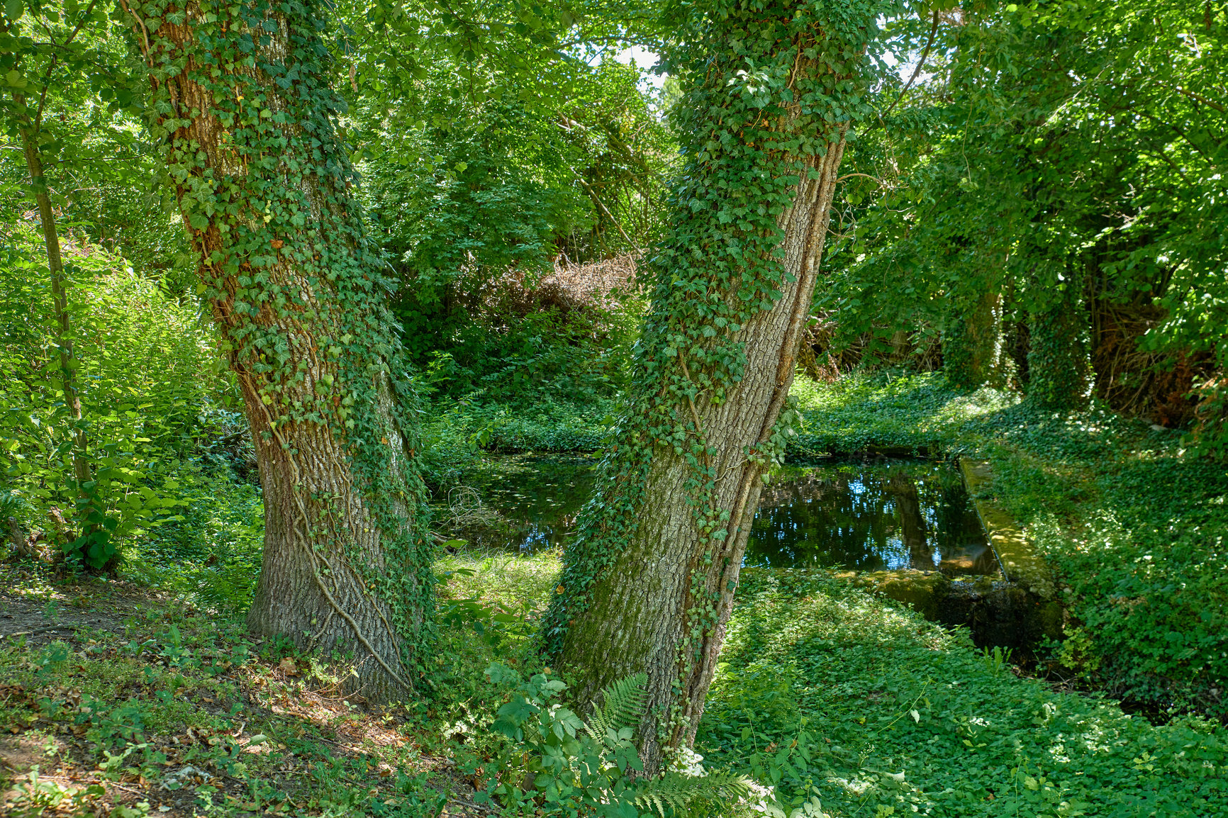 Buy stock photo A series of photos of countryside, farmland and forest close to Lyon, France