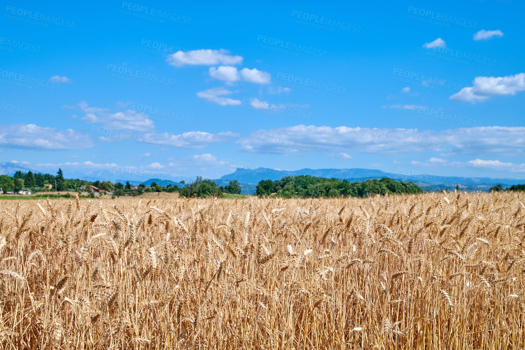 Buy stock photo A series of photos of countryside, farmland and forest close to Lyon, France