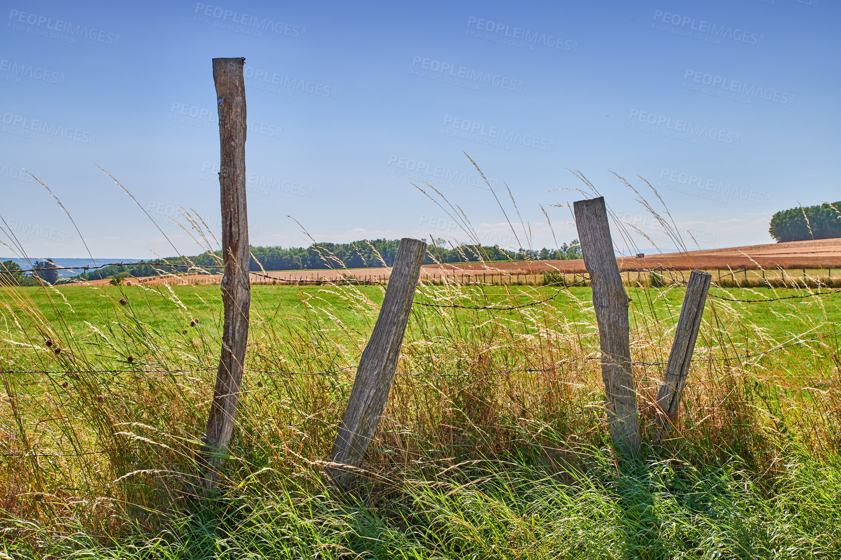 Buy stock photo Outdoor, fence and landscape in countryside for agriculture, natural and development of environment. Sky, space and sustainability of vegetation in farm, empty and grass growth in nature and pasture