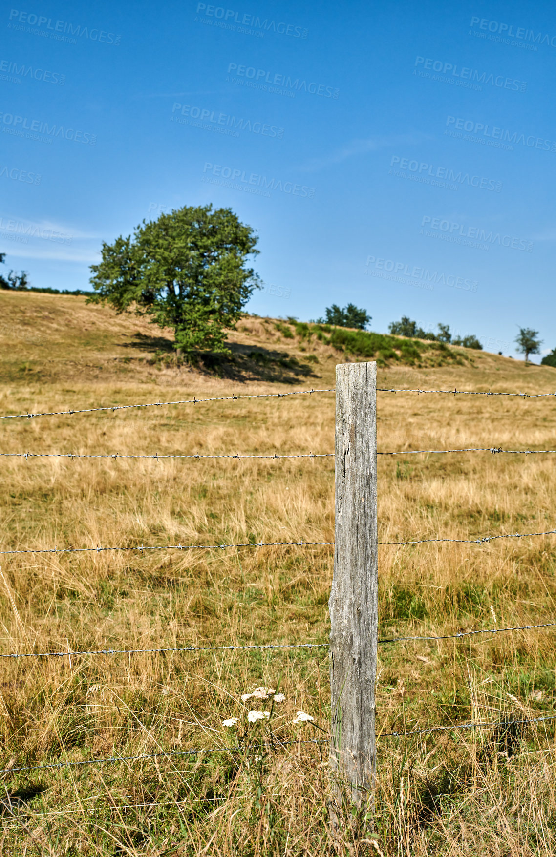 Buy stock photo A series of photos of countryside, farmland and forest close to Lyon, France