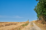 Countryside, farmland and forest - close to Lyon, France