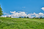 Countryside, farmland and forest - close to Lyon, France