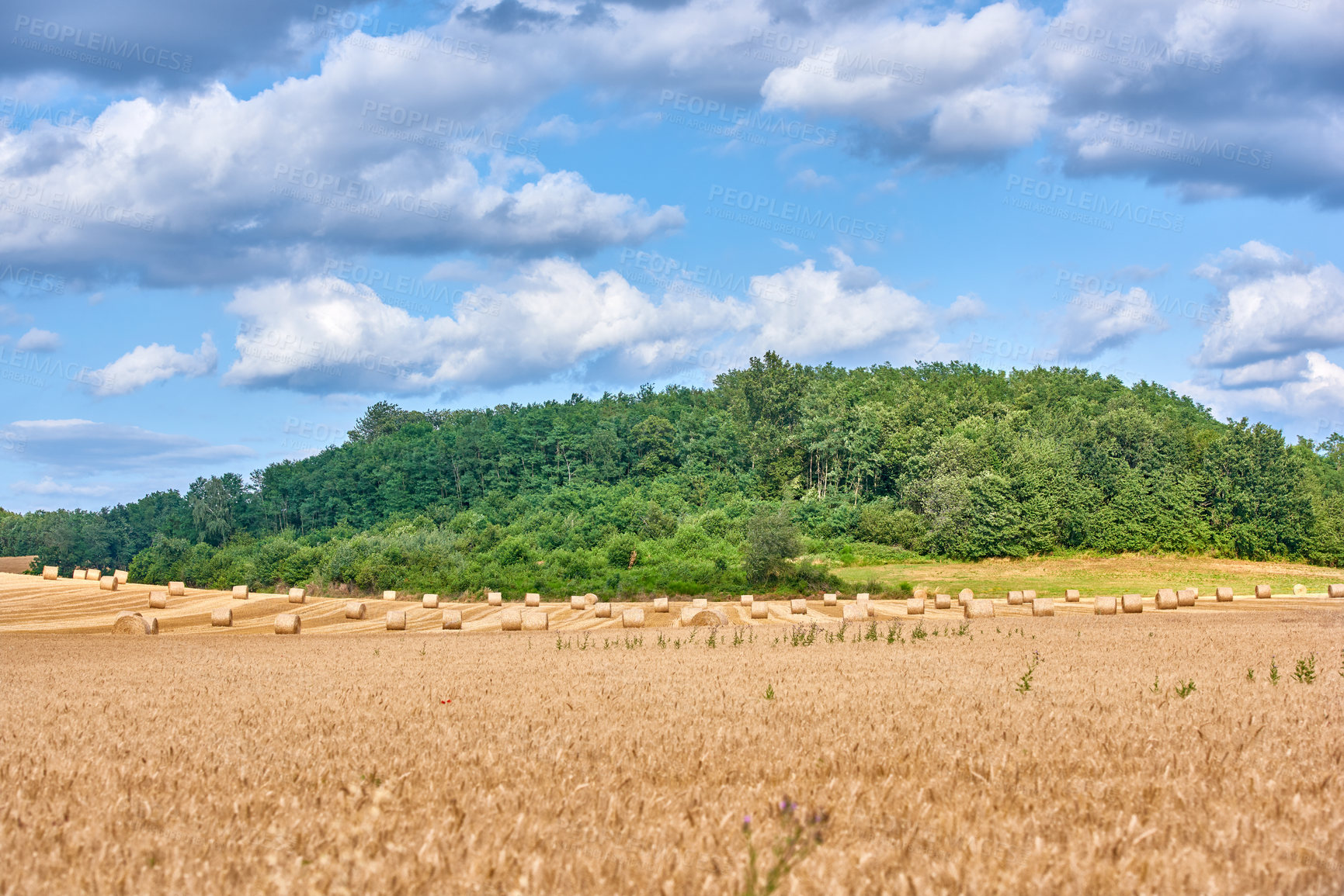 Buy stock photo A series of photos of countryside, farmland and forest close to Lyon, France