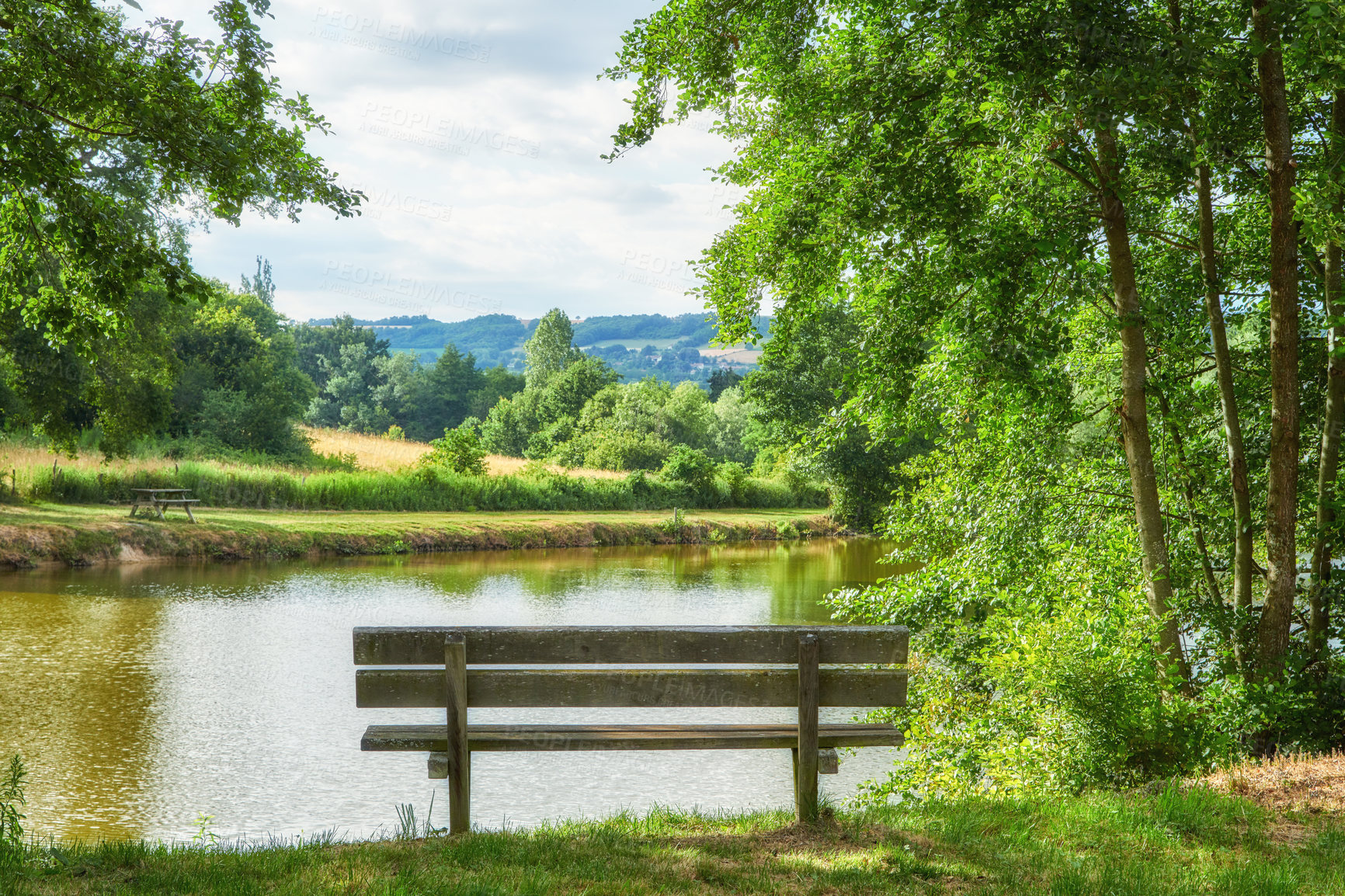 Buy stock photo Relaxing nature view of a park bench with trees, grass, and a lake in the background. A forest and field landscape in the countryside. Natural outdoor setting perfect for a summer day outside