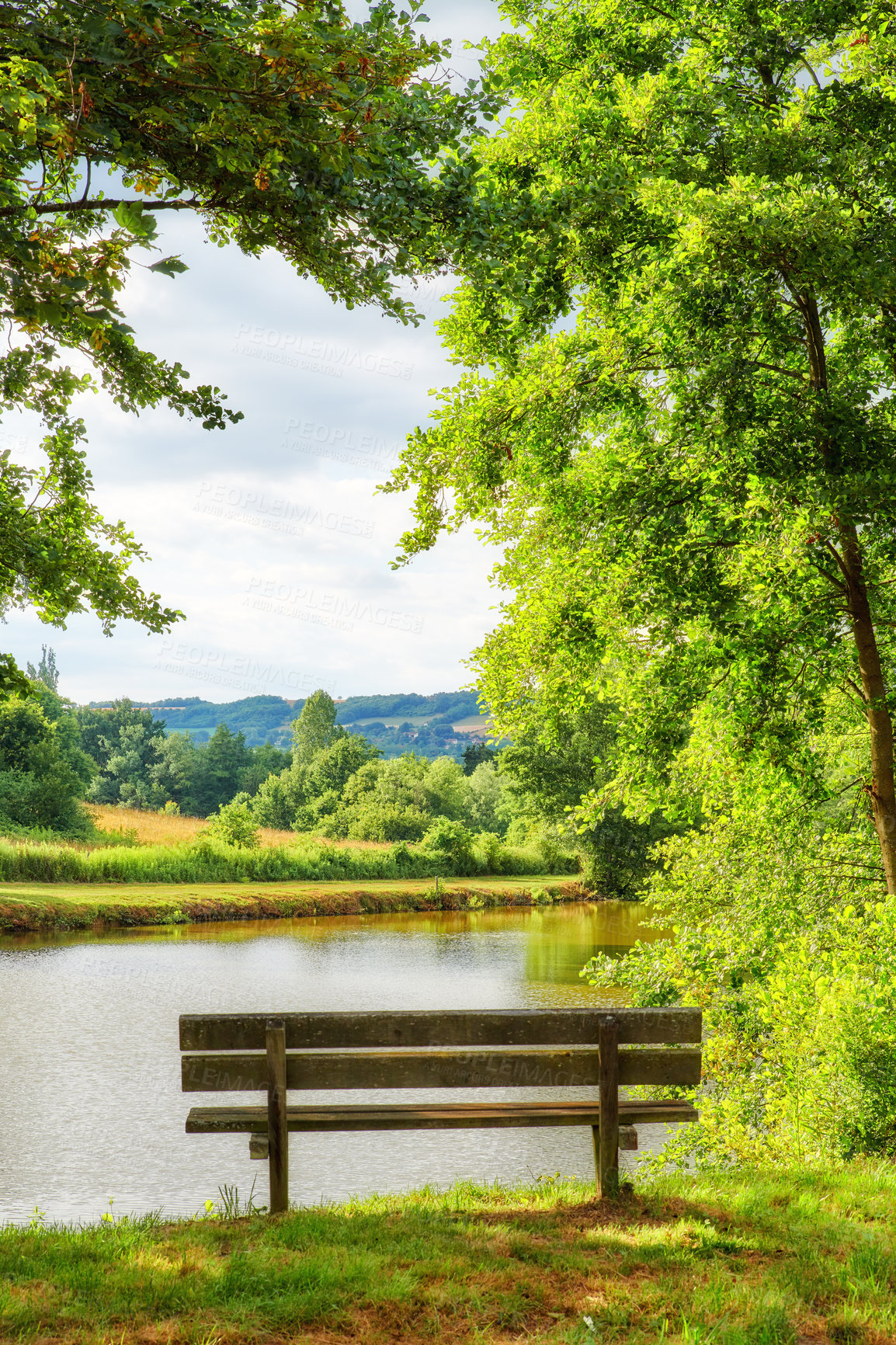 Buy stock photo Park bench overlooking the view by the lake in the countryside. Scenic view of trees and greenery by a river with an empty public bench in summer. Landscape view of an idyllic natural environment