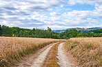 Countryside, farmland and forest - close to Lyon, France