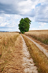 Countryside, farmland and forest - close to Lyon, France