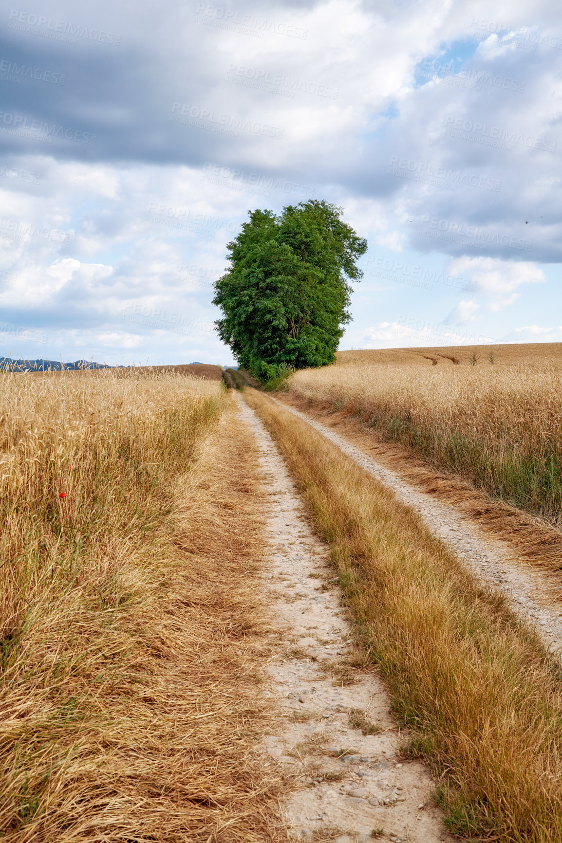 Buy stock photo A series of photos of countryside, farmland and forest close to Lyon, France