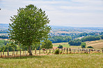 Countryside, farmland and forest - close to Lyon, France