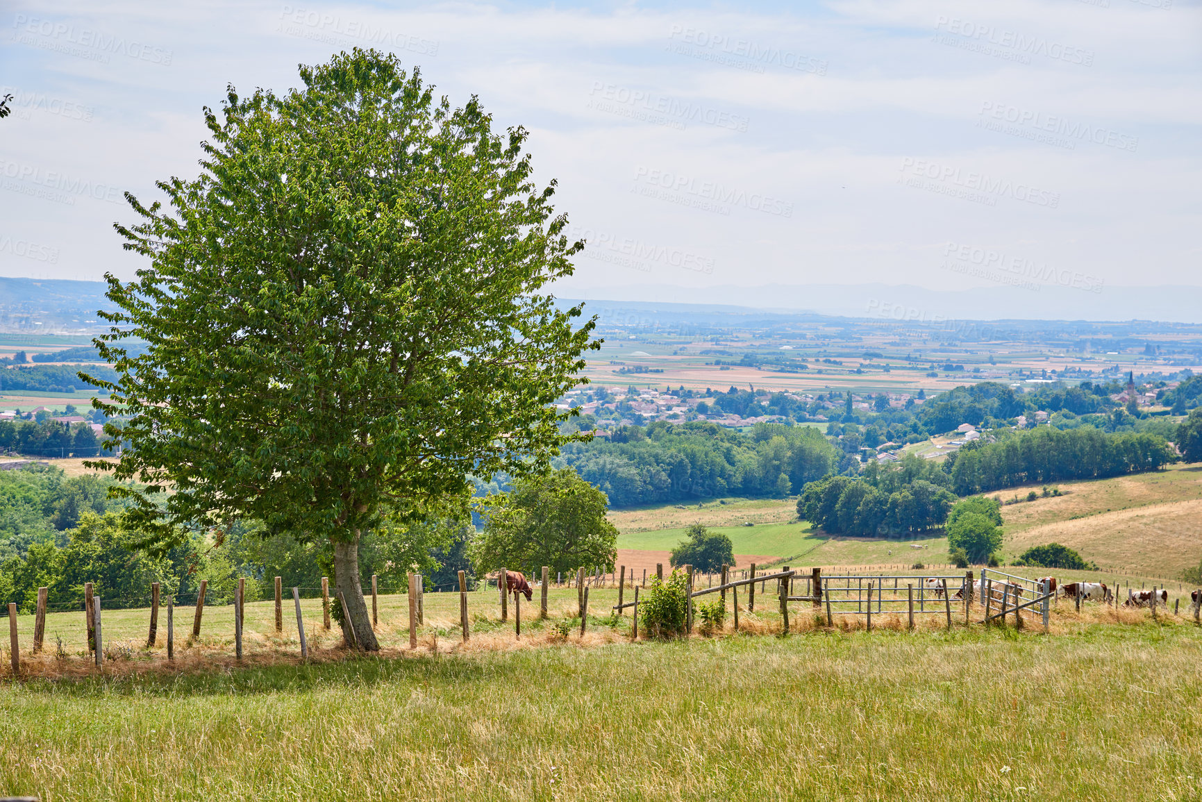 Buy stock photo A series of photos of countryside, farmland and forest close to Lyon, France