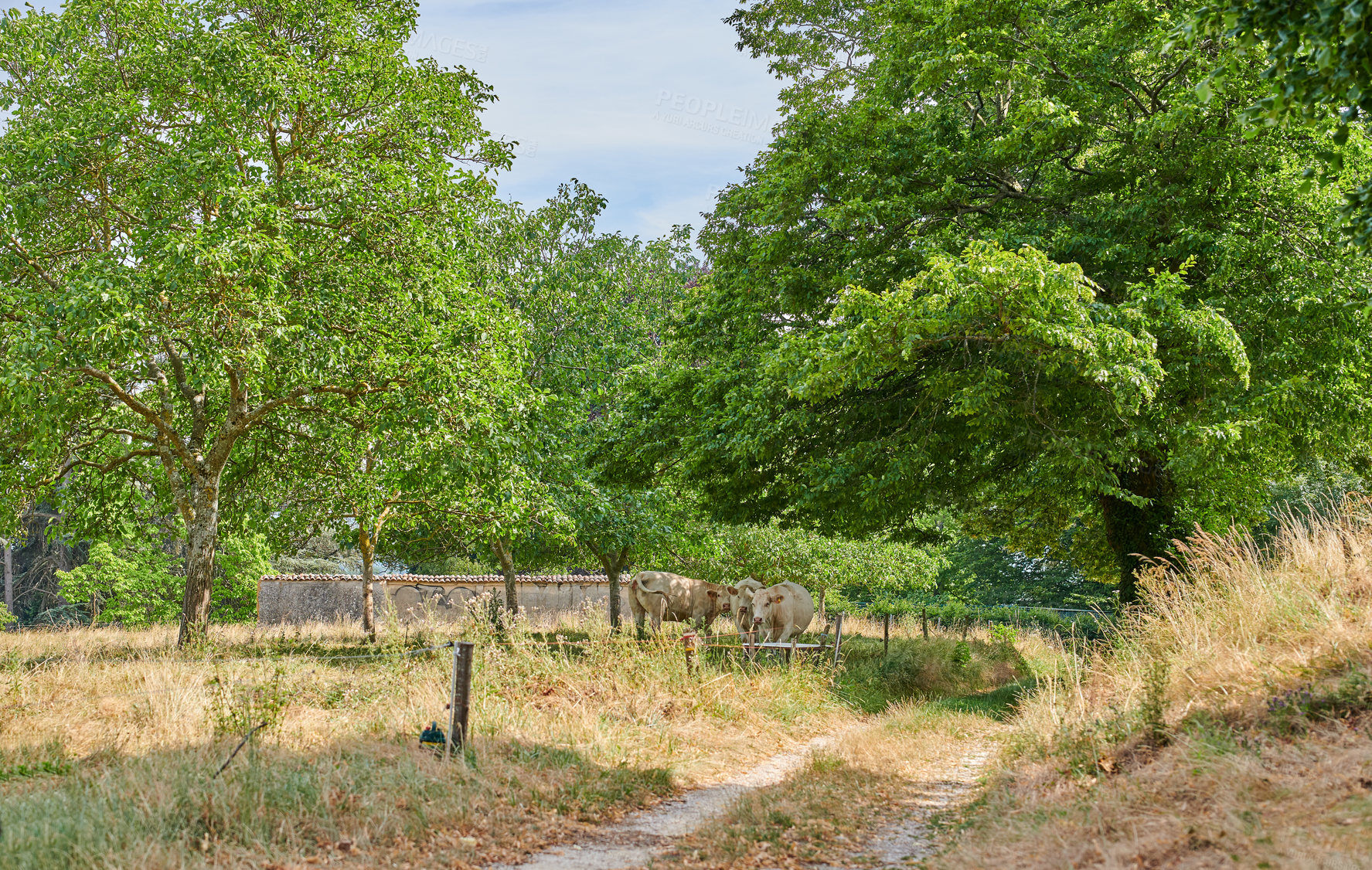 Buy stock photo A series of photos of countryside, farmland and forest close to Lyon, France