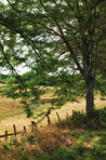 Countryside, farmland and forest - close to Lyon, France