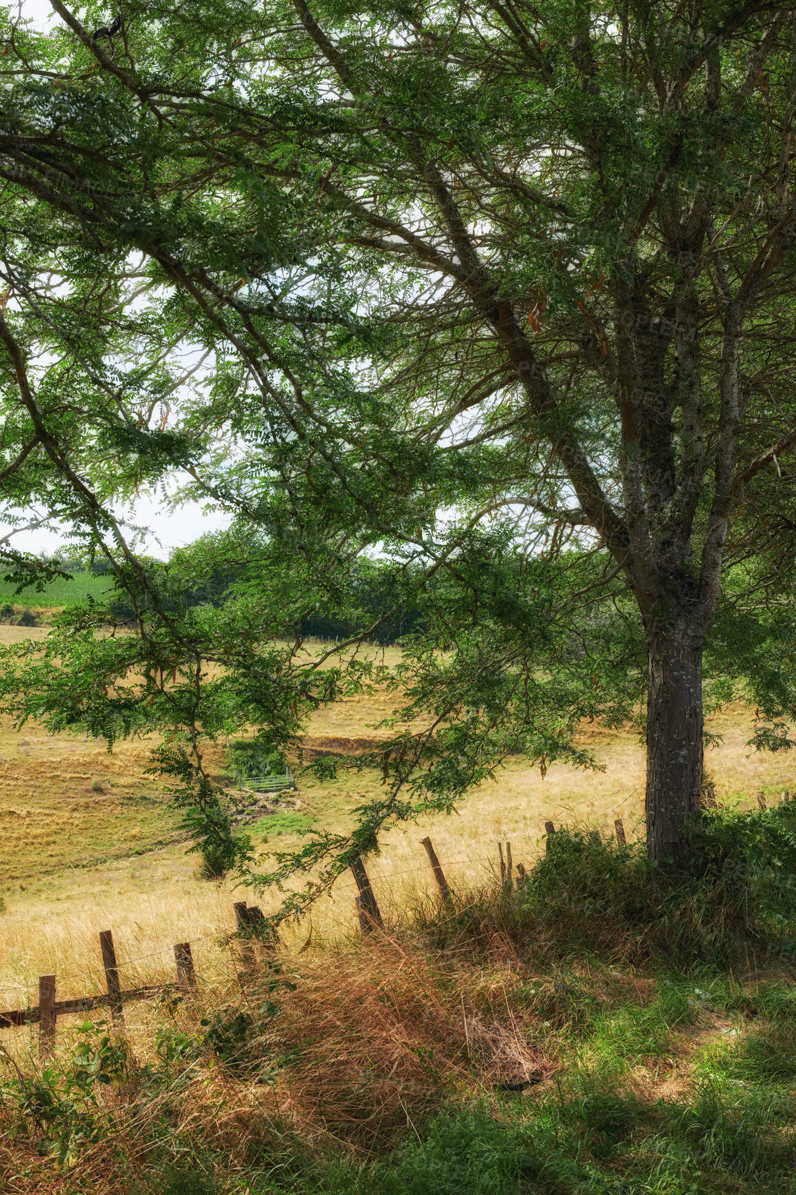 Buy stock photo A series of photos of countryside, farmland and forest close to Lyon, France