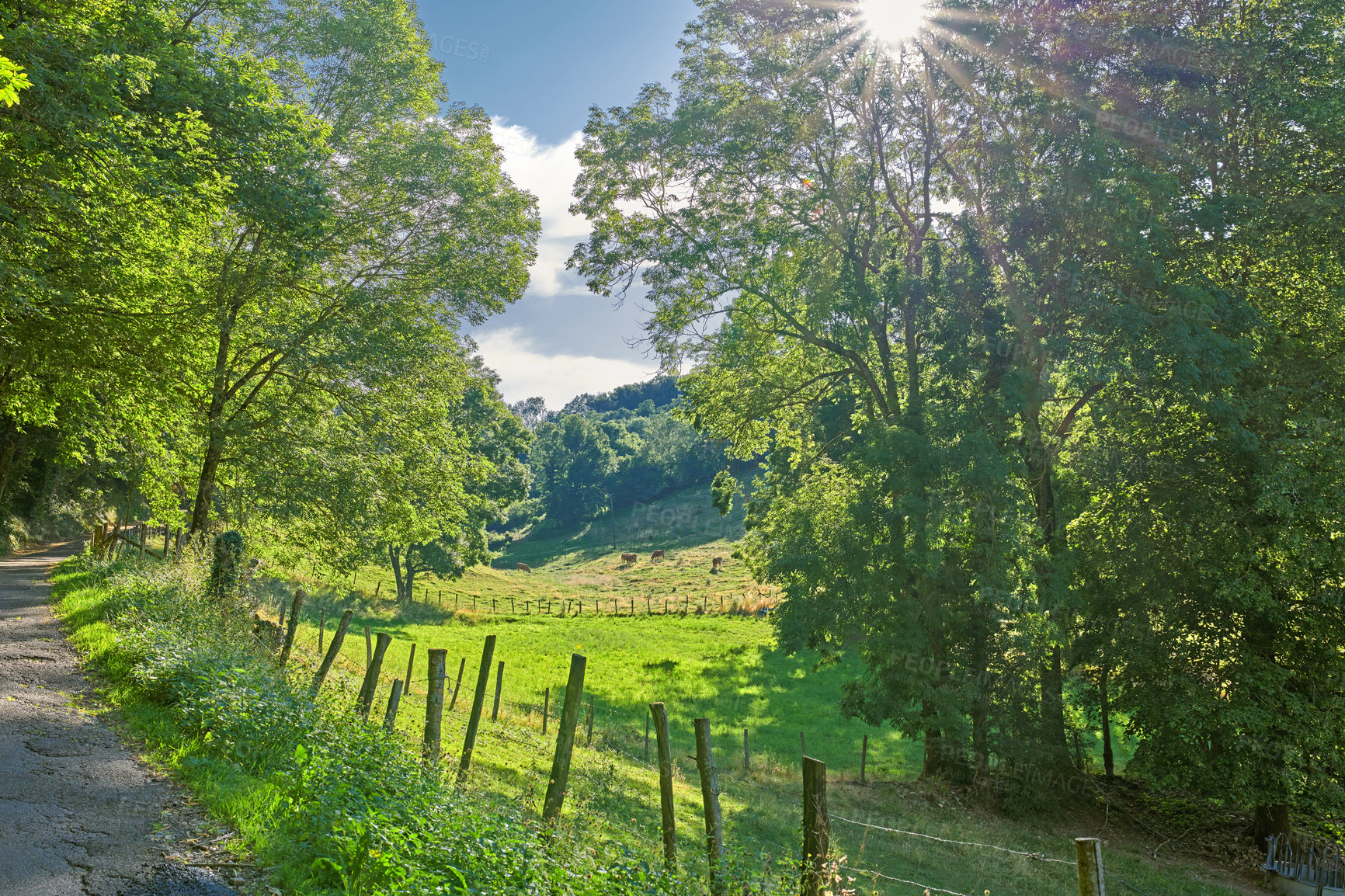 Buy stock photo A series of photos of countryside, farmland and forest close to Lyon, France