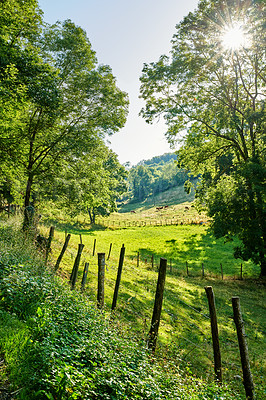 Buy stock photo A series of photos of countryside, farmland and forest close to Lyon, France