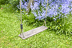 Sling an Bluebells in my garden
