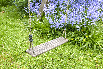 Buy stock photo Bluebell - Scilla siberica, blue flowers in late spring